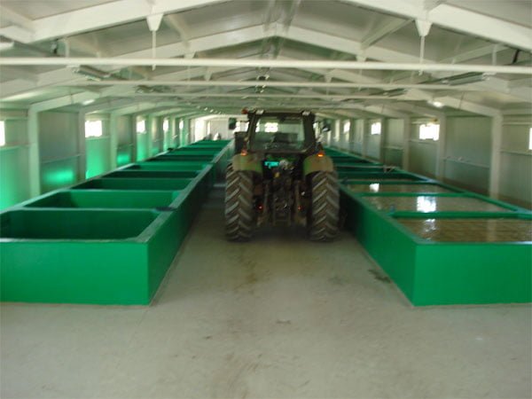 CABBAGE PICKLING POOLS