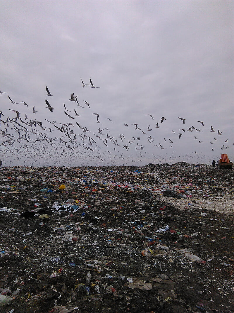 MAINTENANCE OF LANDFILL DEGASY SYSTEM – FIELD S III